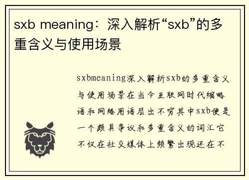 sxb meaning：深入解析“sxb”的多重含义与使用场景